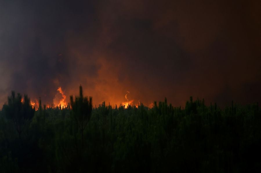 Fotos: El incendio de Landiras