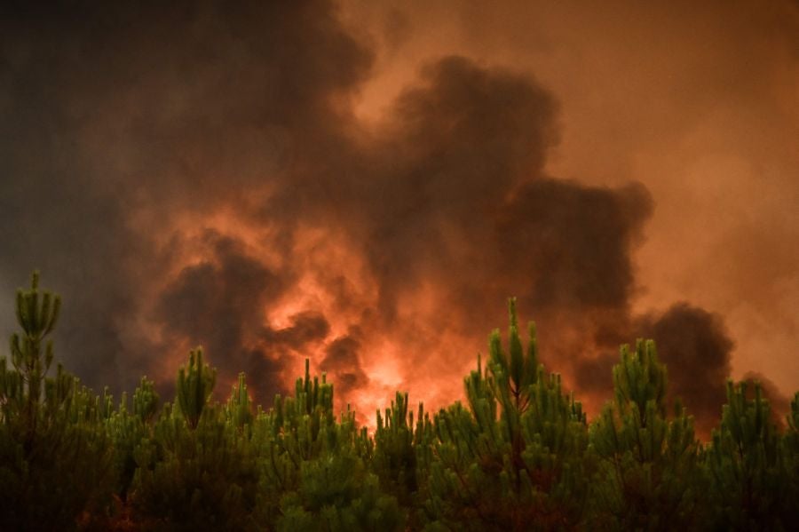 Fotos: El incendio de Landiras
