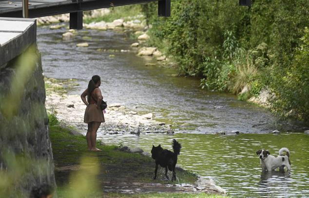 Fotos: Una galernilla aliviará por la tarde el ambiente en la costa tras una noche tropical