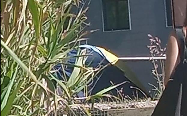 Tienda detectada sobre el edificio de Aguas del Añarbe, en Sagüés.