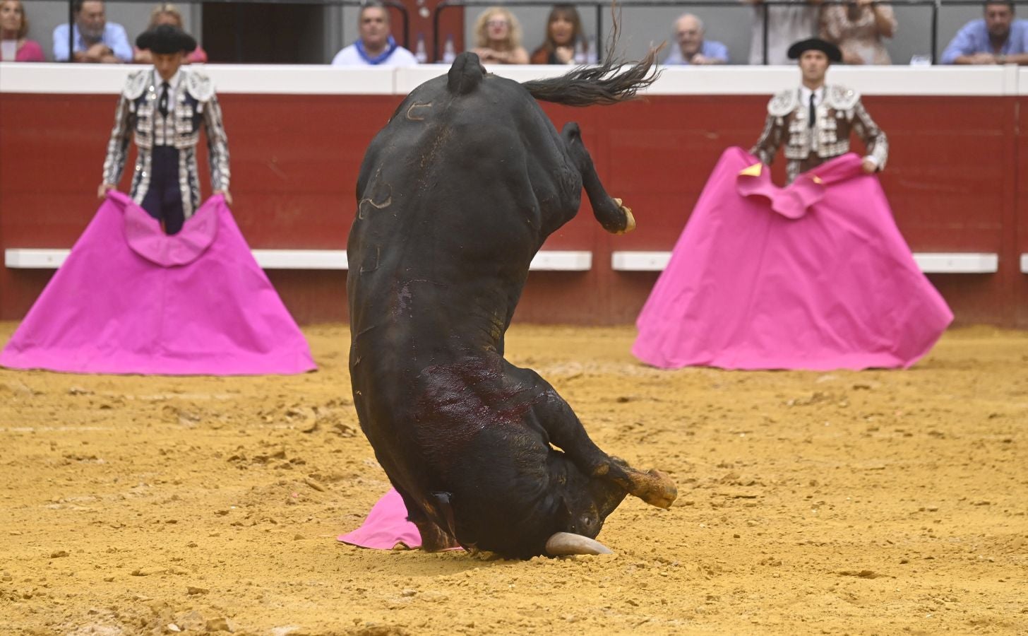 Fotos: Las imágenes de la primera corrida de la Semana Grande de San Sebastián
