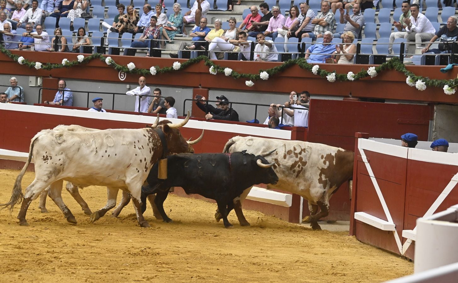 Fotos: Las imágenes de la primera corrida de la Semana Grande de San Sebastián