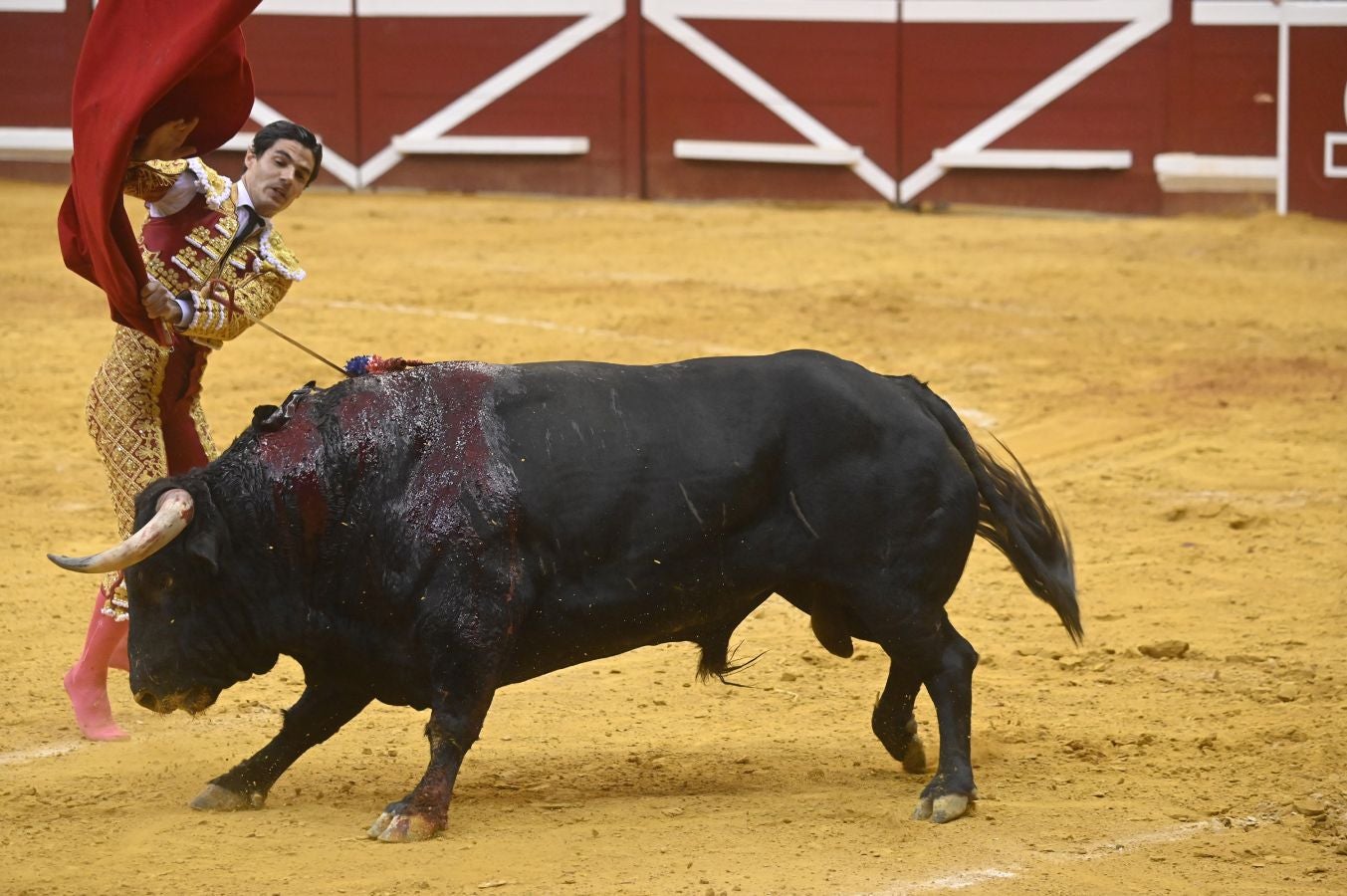 Fotos: Las imágenes de la primera corrida de la Semana Grande de San Sebastián