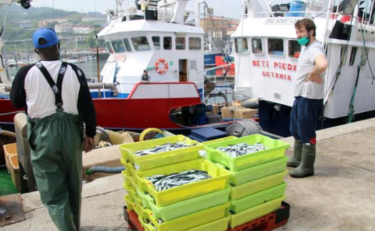 Pesca: Abierta la pesquería de la anchoa para el cerco del Cantábrico