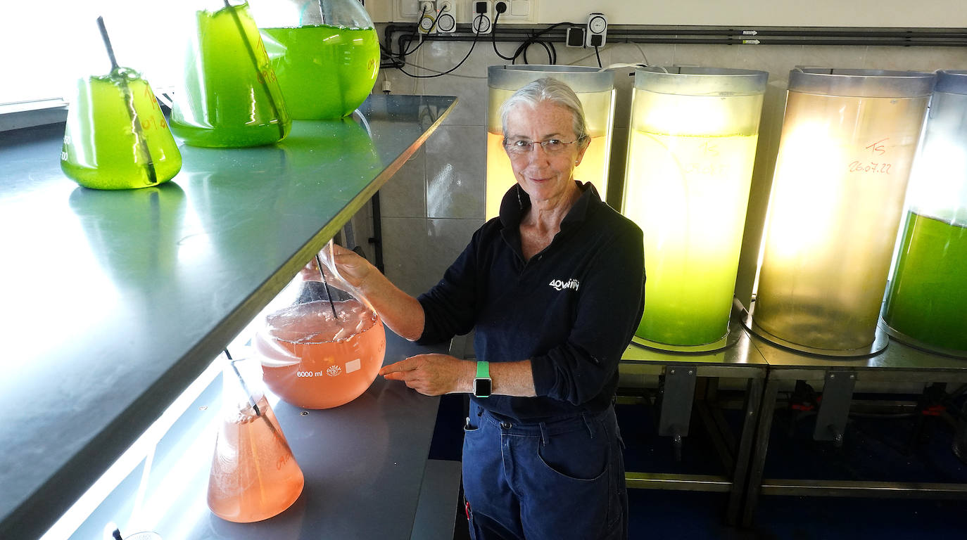 Fotos: Los secretos del Aquarium donostiarra