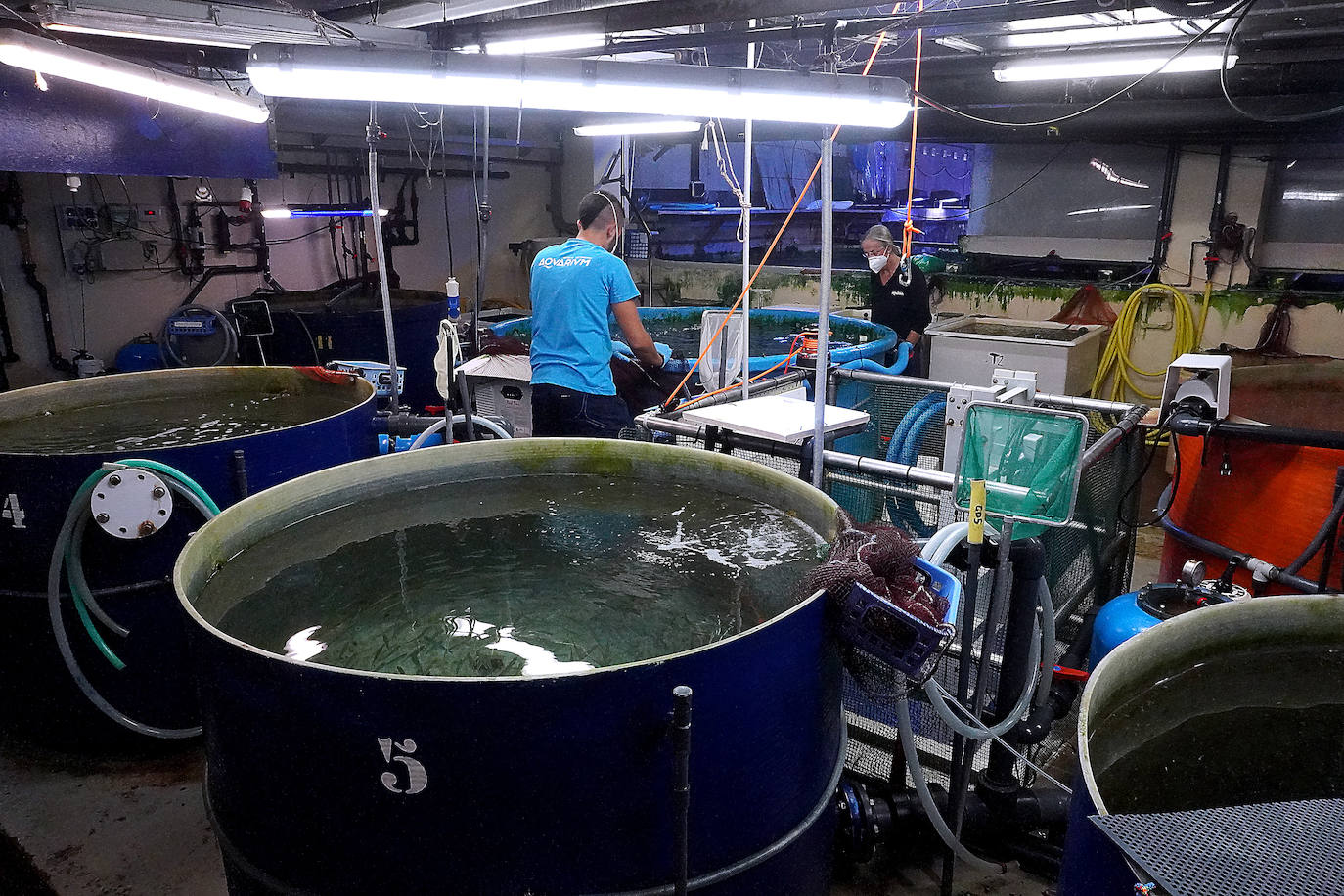 Fotos: Los secretos del Aquarium donostiarra