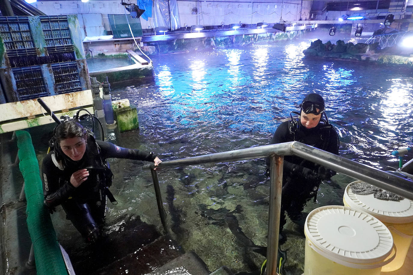 Fotos: Los secretos del Aquarium donostiarra