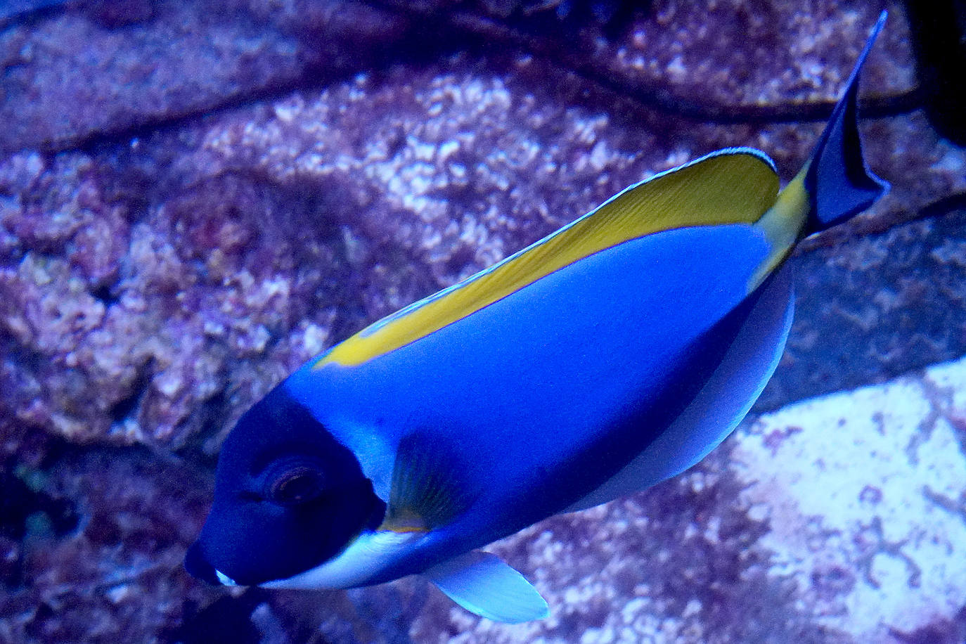 Fotos: Los secretos del Aquarium donostiarra