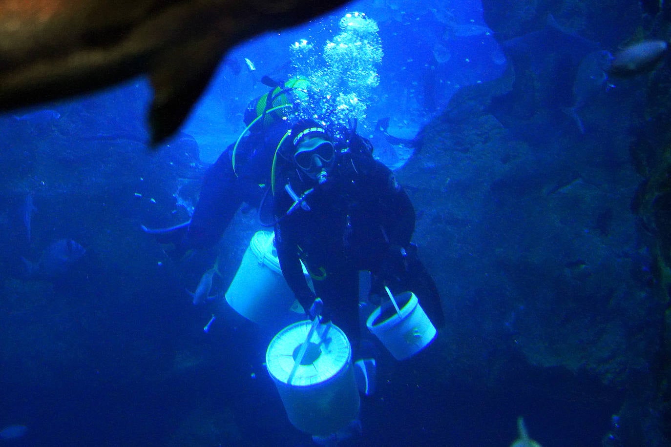 Fotos: Los secretos del Aquarium donostiarra