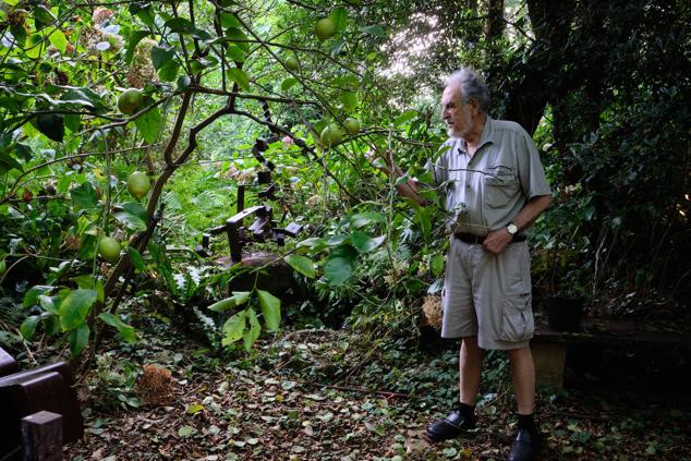 Fotos: Ricardo Ugarte abre las puertas de su &#039;museo&#039; de las esculturas