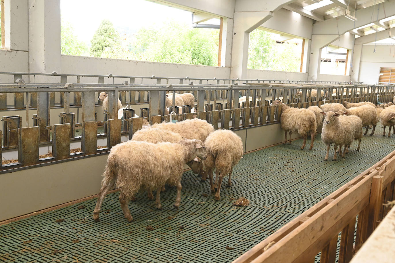 Fotos: El Idizabal como reclamo turístico