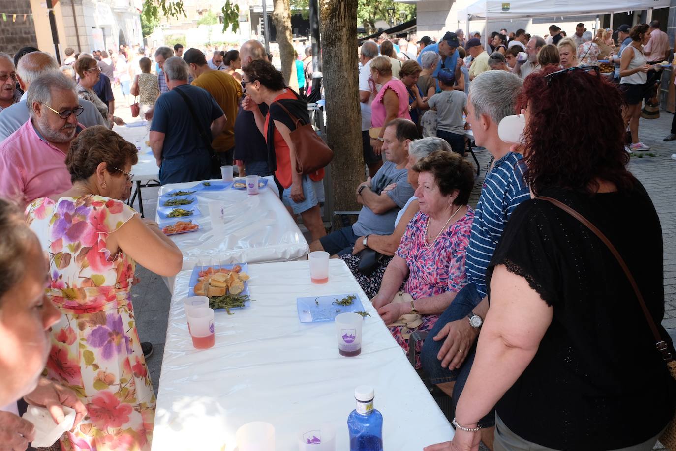 Fotos: Ibarra celebra sus fiestas con una buena piparrada