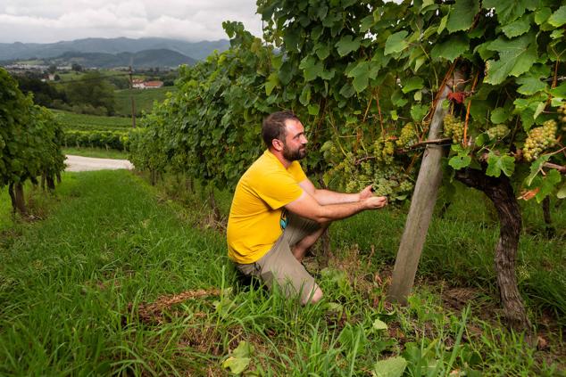 Fotos: Un txakoli de calidad y mayor graduación