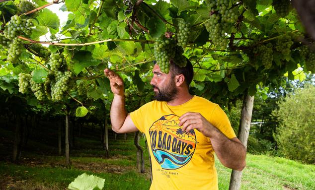 Fotos: Un txakoli de calidad y mayor graduación