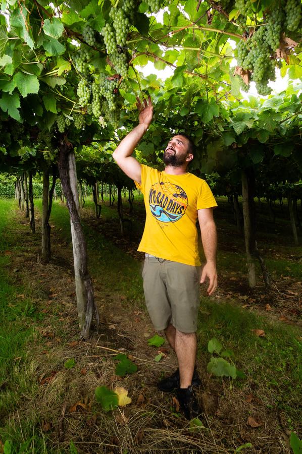 Fotos: Un txakoli de calidad y mayor graduación