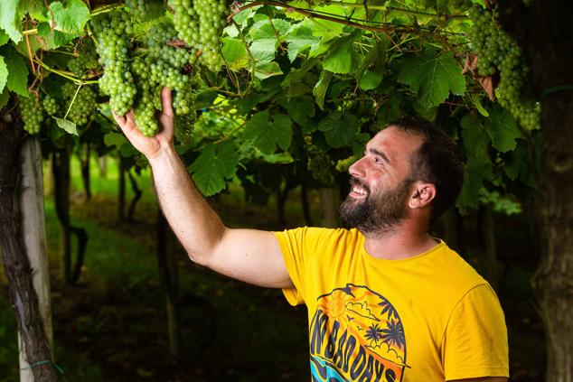 Fotos: Un txakoli de calidad y mayor graduación