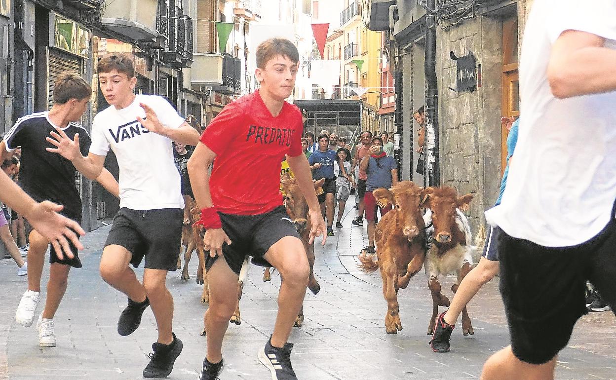 Los más jóvenes no perdieron la ocasión de correr delante de los toritos de la ganadería Arno en el encierro infantil celebrado ayer. 