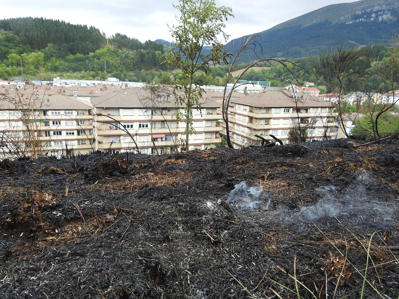Fotos: Imágenes del incendio en el barrio de Txarapea