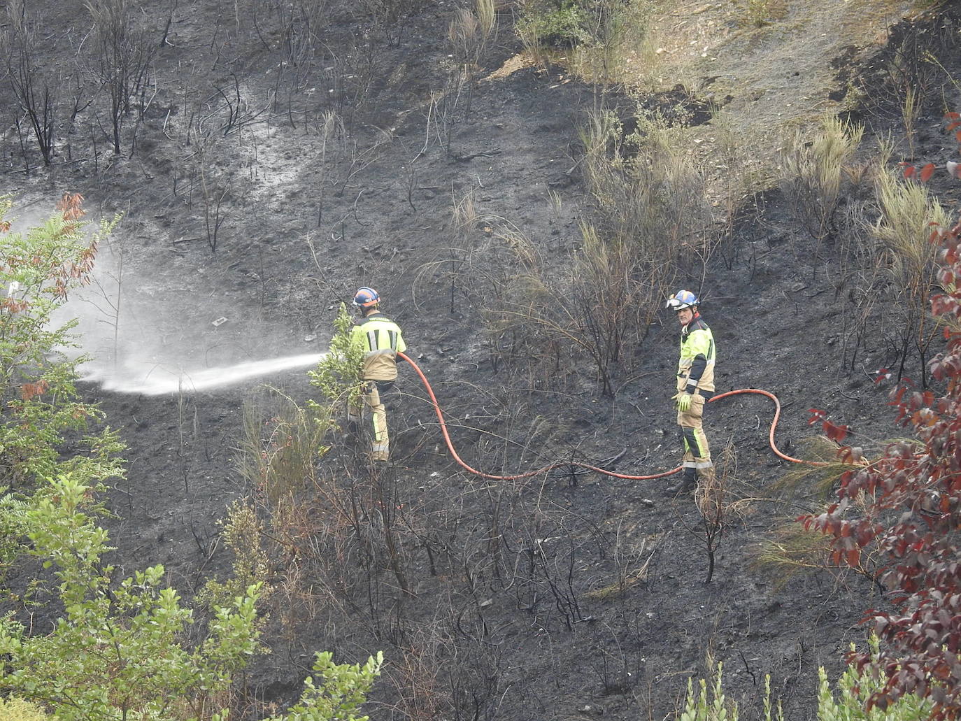 Fotos: Imágenes del incendio en el barrio de Txarapea