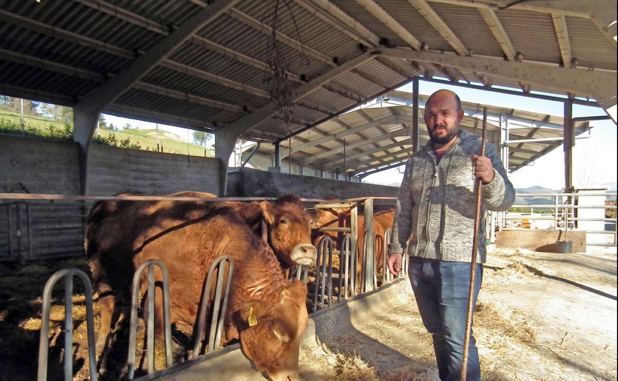 Mikel Elgarresta, con su animales en el aterpe destinado a su ganado en el caserío Donardegi. 