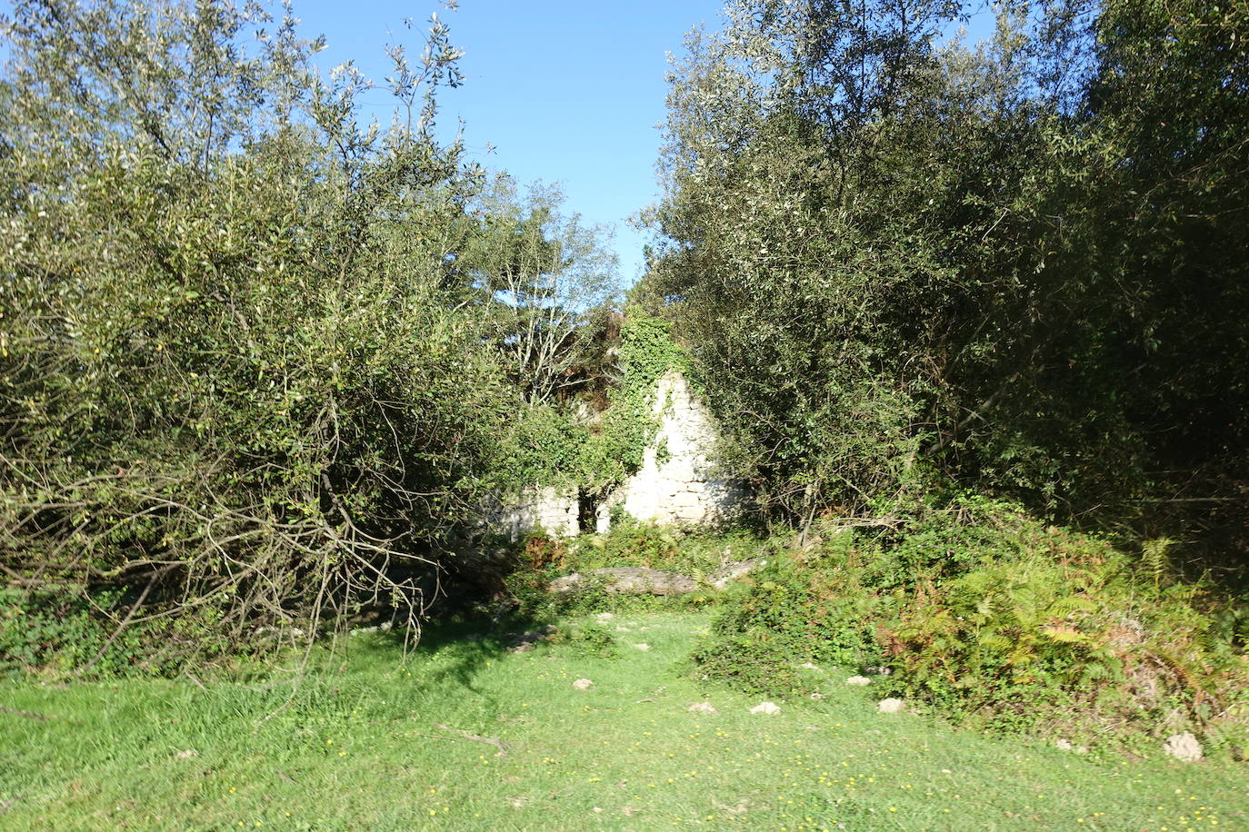 Fotos: Labetxu, el bello valle de los colores