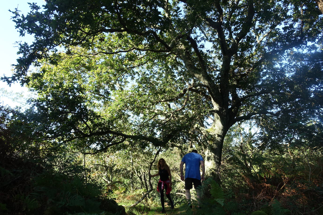 Fotos: Labetxu, el bello valle de los colores