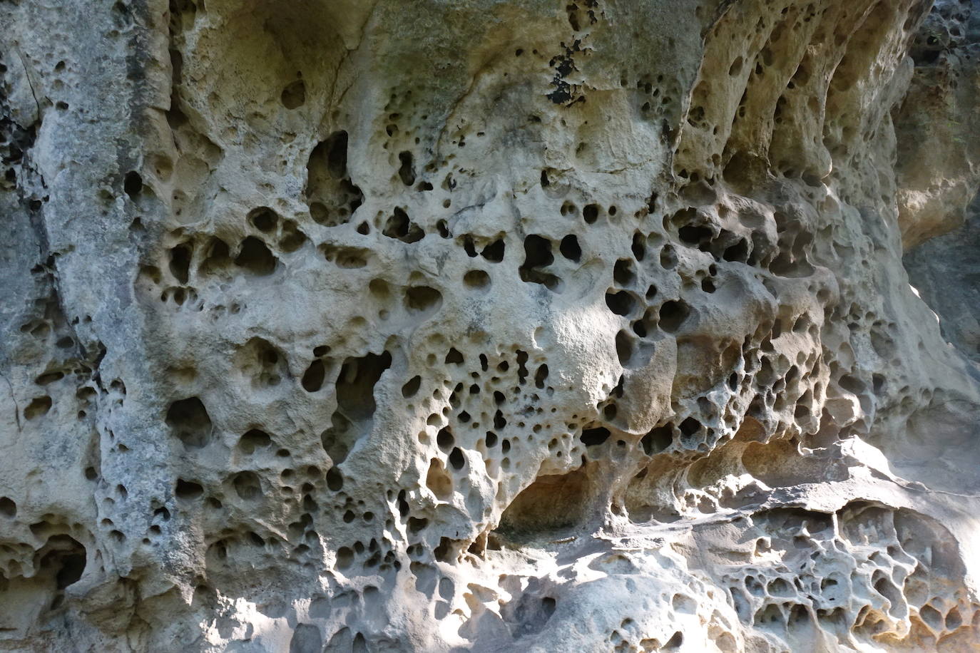 Fotos: Labetxu, el bello valle de los colores