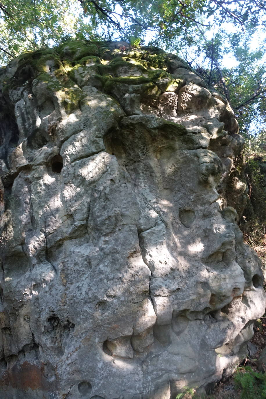 Fotos: Labetxu, el bello valle de los colores