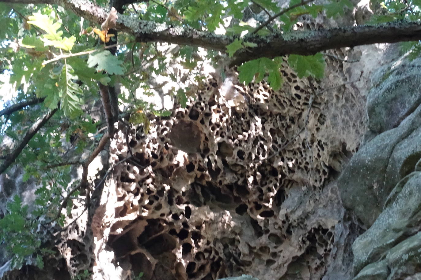Fotos: Labetxu, el bello valle de los colores