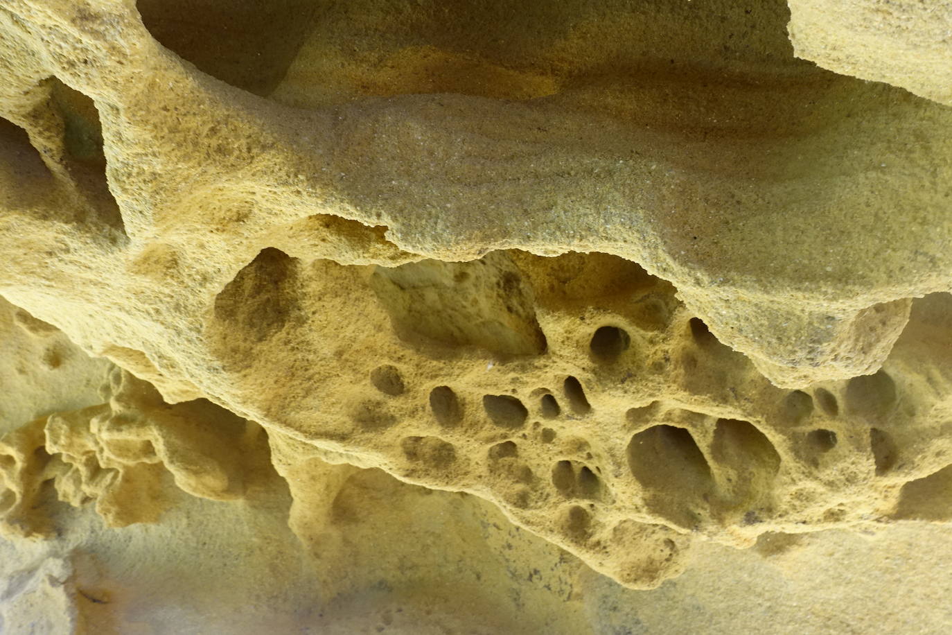 Fotos: Labetxu, el bello valle de los colores