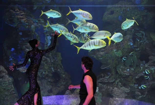 Fotos: &#039;Inmesión&#039;, una exposición en el Aquarium para reflexionar sobre la mar