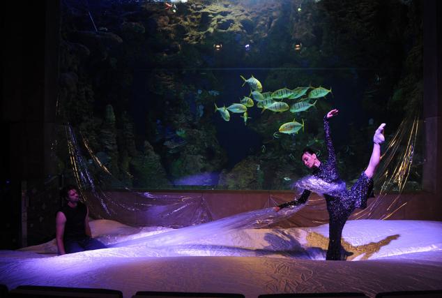 Fotos: &#039;Inmesión&#039;, una exposición en el Aquarium para reflexionar sobre la mar