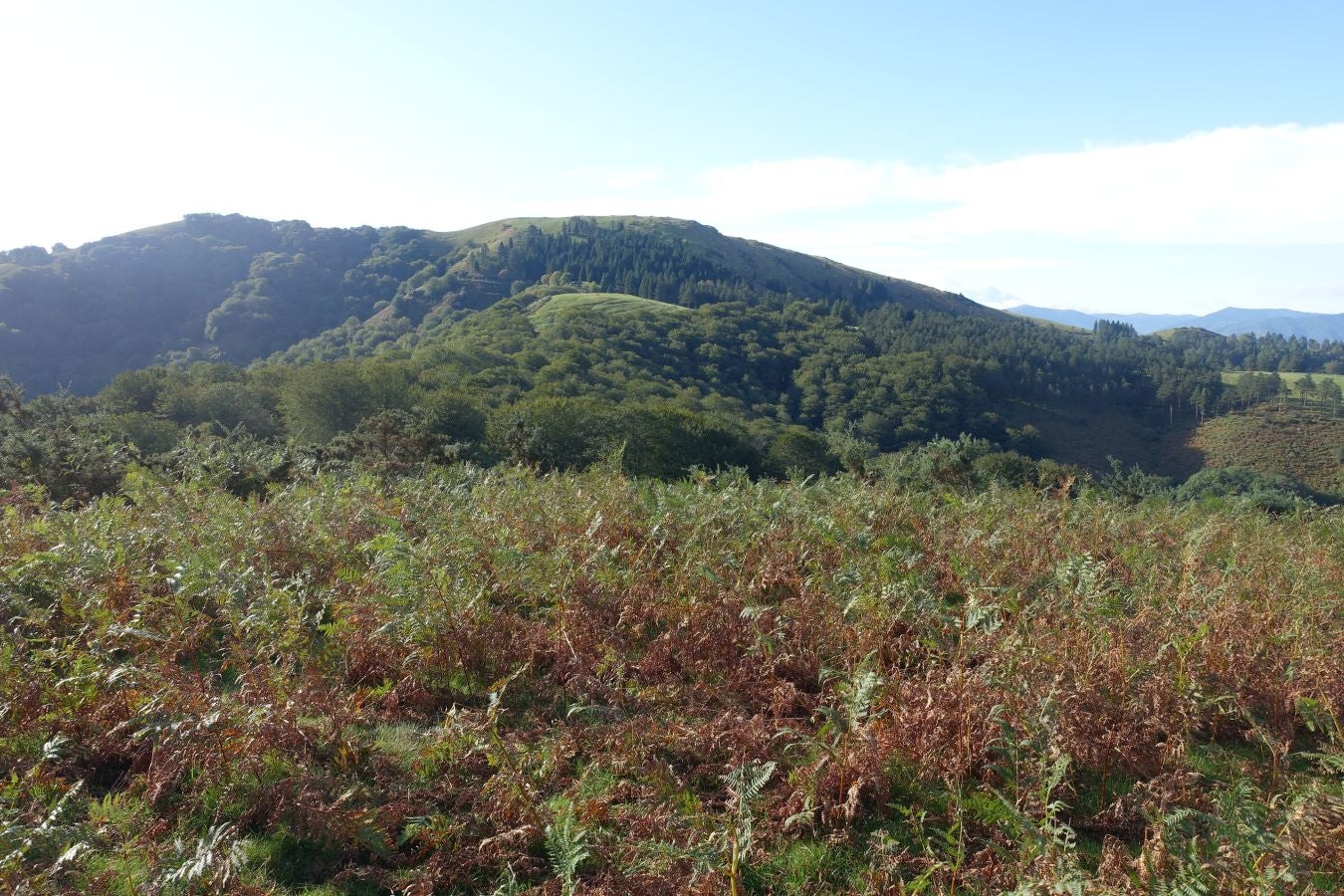 Fotos: Ruta a Basate pasando por el crómlech de Oianleku
