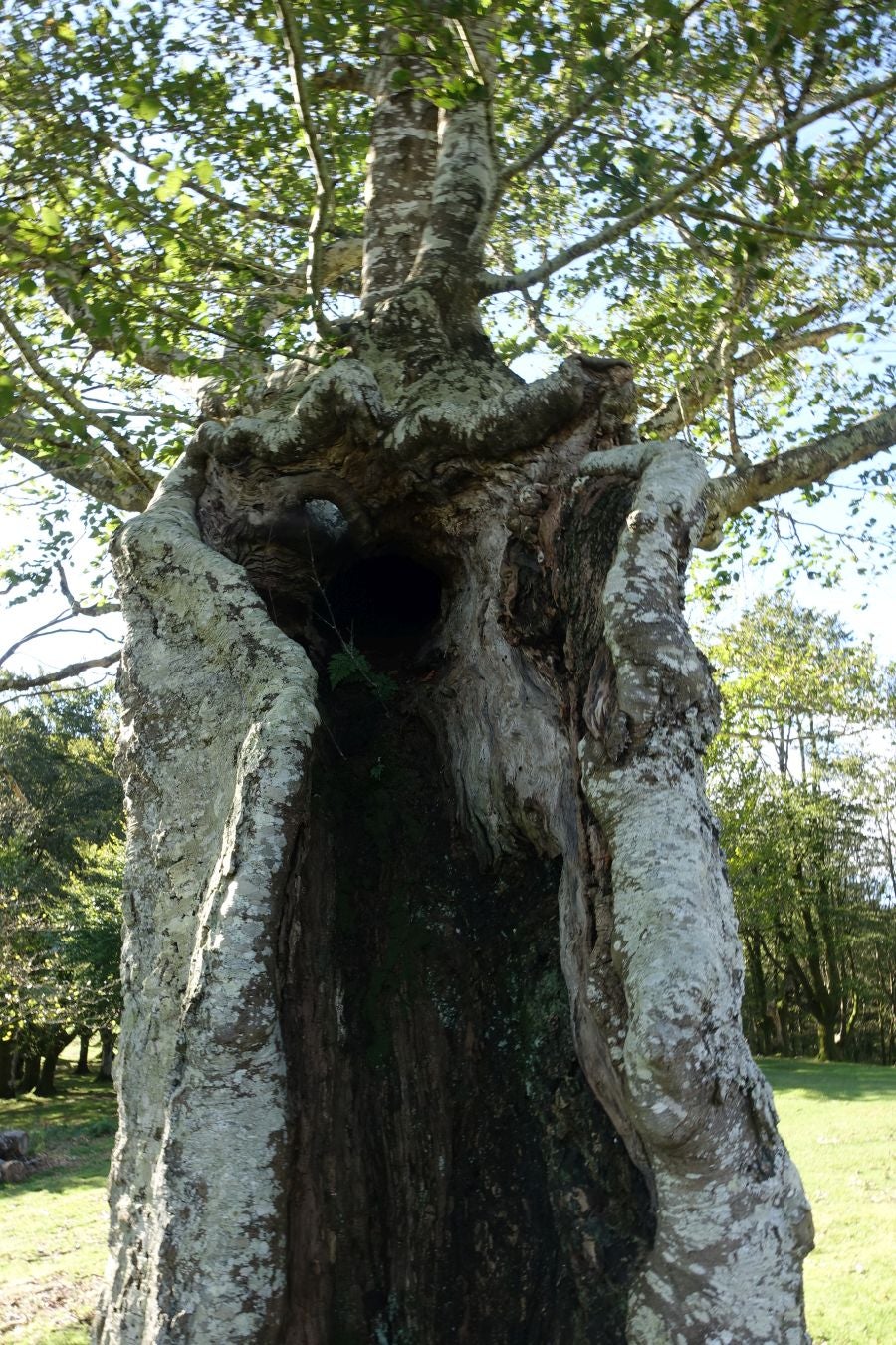 Fotos: Ruta a Basate pasando por el crómlech de Oianleku