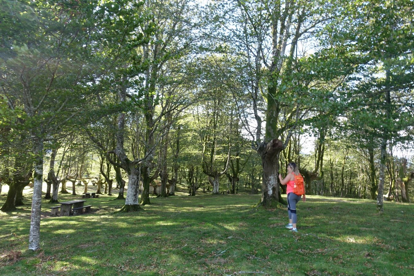 Fotos: Ruta a Basate pasando por el crómlech de Oianleku