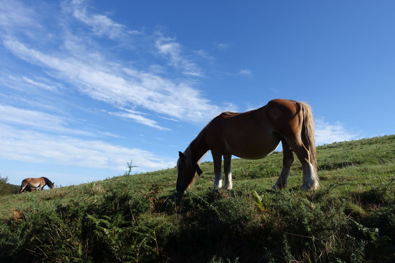 Fotos: Ruta a Basate pasando por el crómlech de Oianleku
