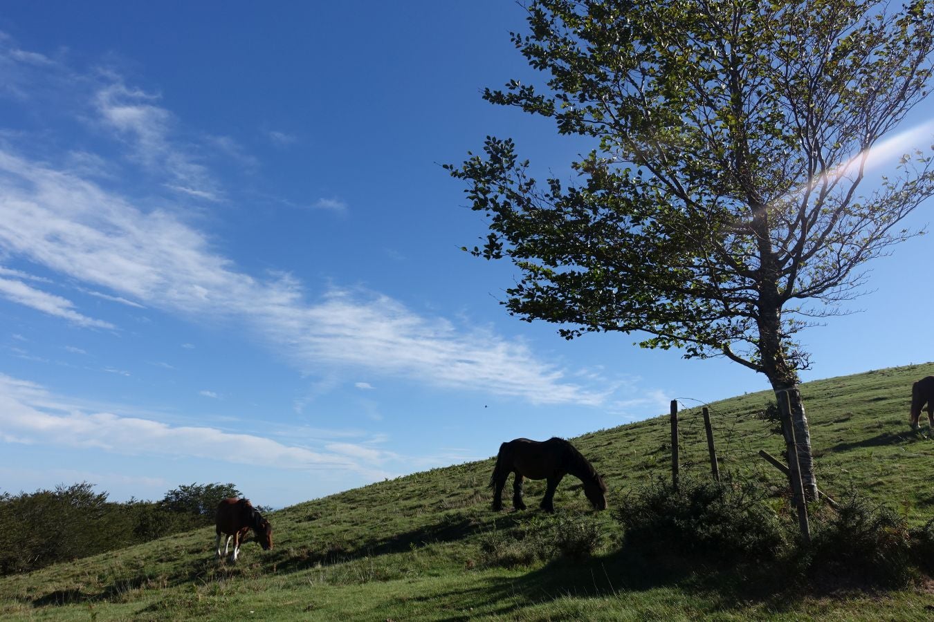 Fotos: Ruta a Basate pasando por el crómlech de Oianleku