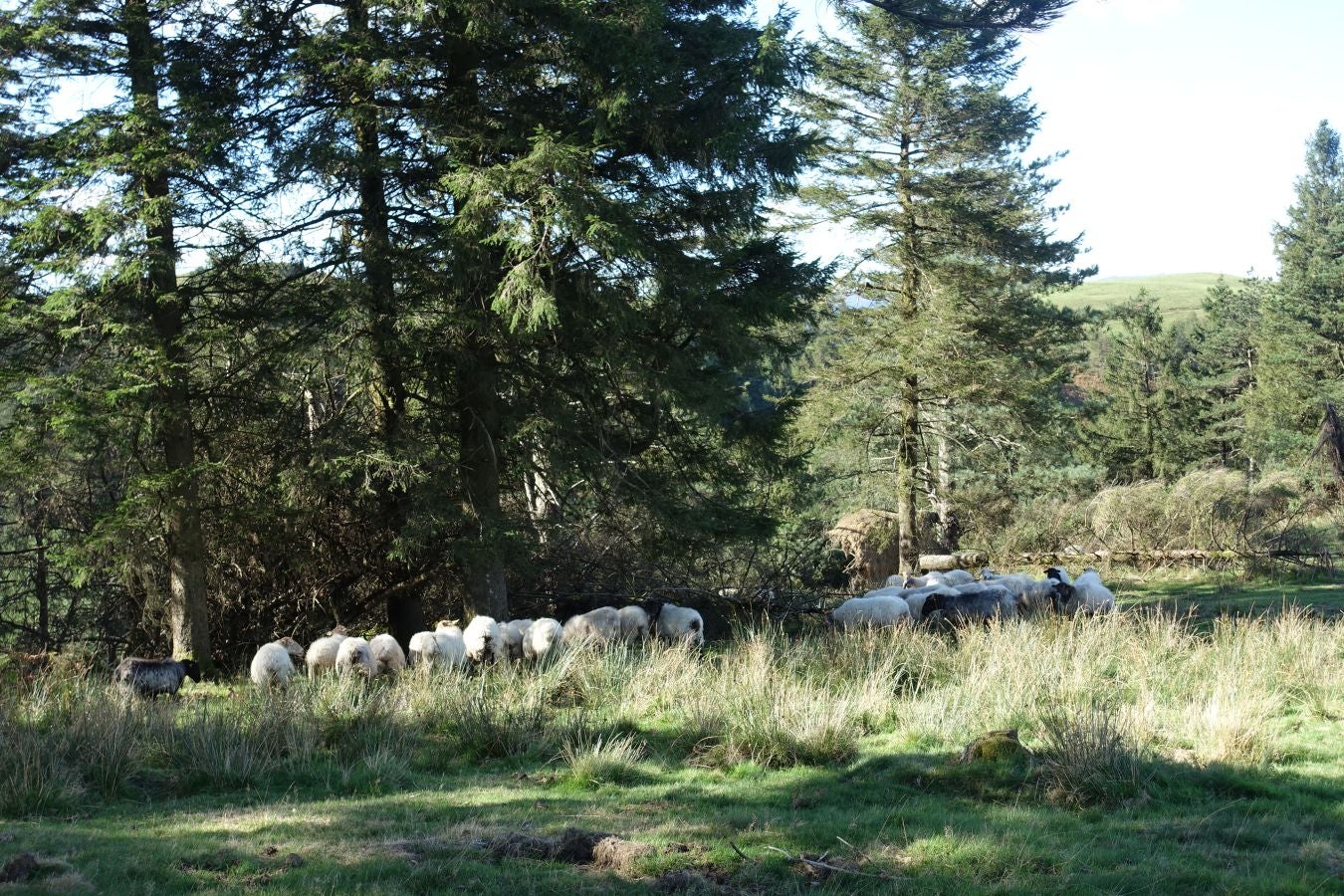 Fotos: Ruta a Basate pasando por el crómlech de Oianleku