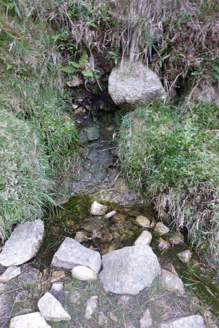 Fotos: Ruta a Basate pasando por el crómlech de Oianleku