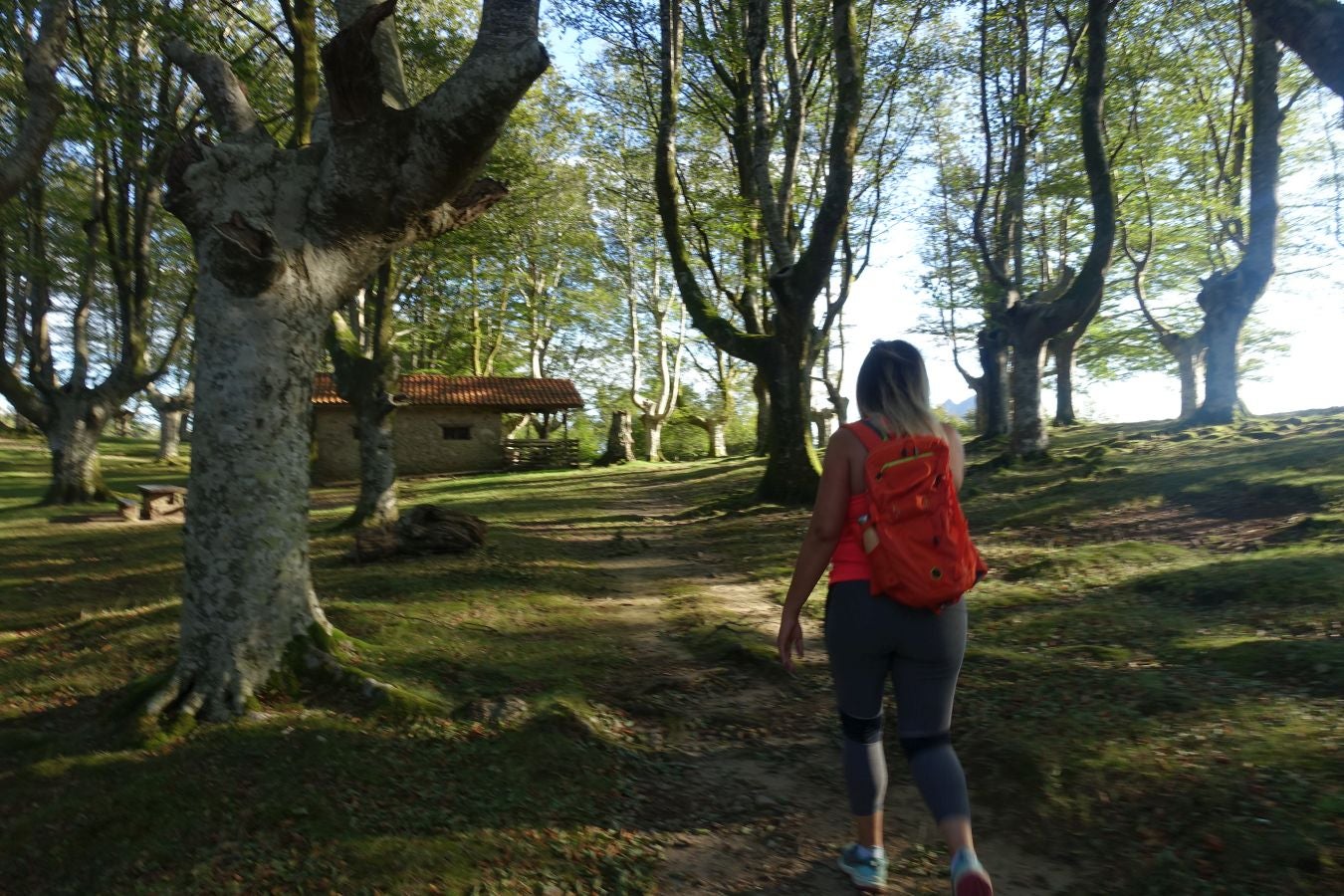 Fotos: Ruta a Basate pasando por el crómlech de Oianleku