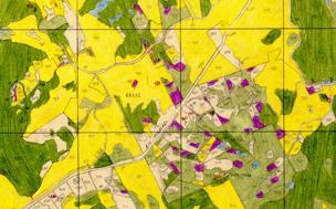 QUEM DE DIREITO / THE RIGHTFUL (QUIEN POR DERECHO)