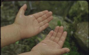 NOIZKO BASOA / WHEN DOES A FOREST BEGIN (CUANDO EL BOSQUE)