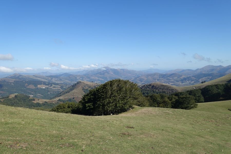 Fotos: Adi: una cima navarra para disfrutar del Otoño