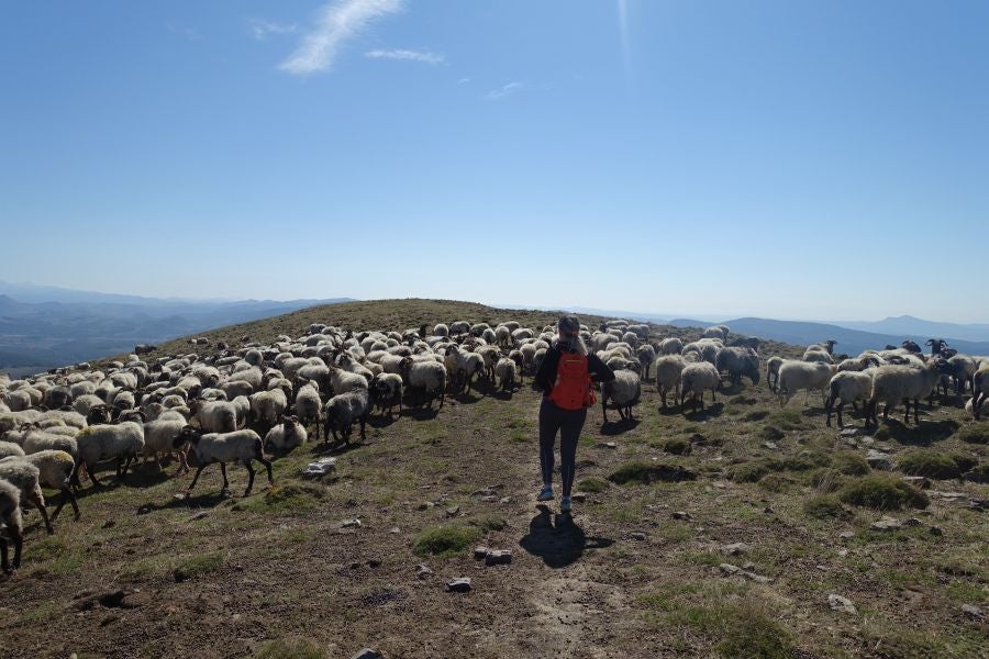 Fotos: Adi: una cima navarra para disfrutar del Otoño