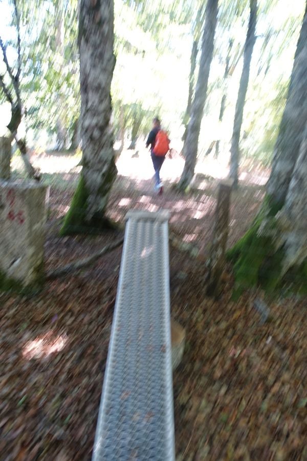 Fotos: Adi: una cima navarra para disfrutar del Otoño