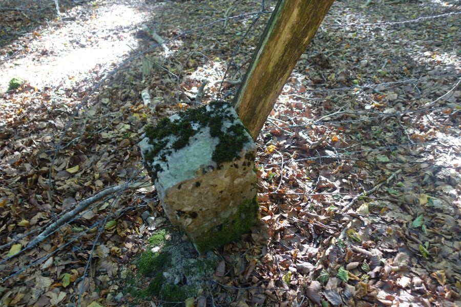 Fotos: Adi: una cima navarra para disfrutar del Otoño