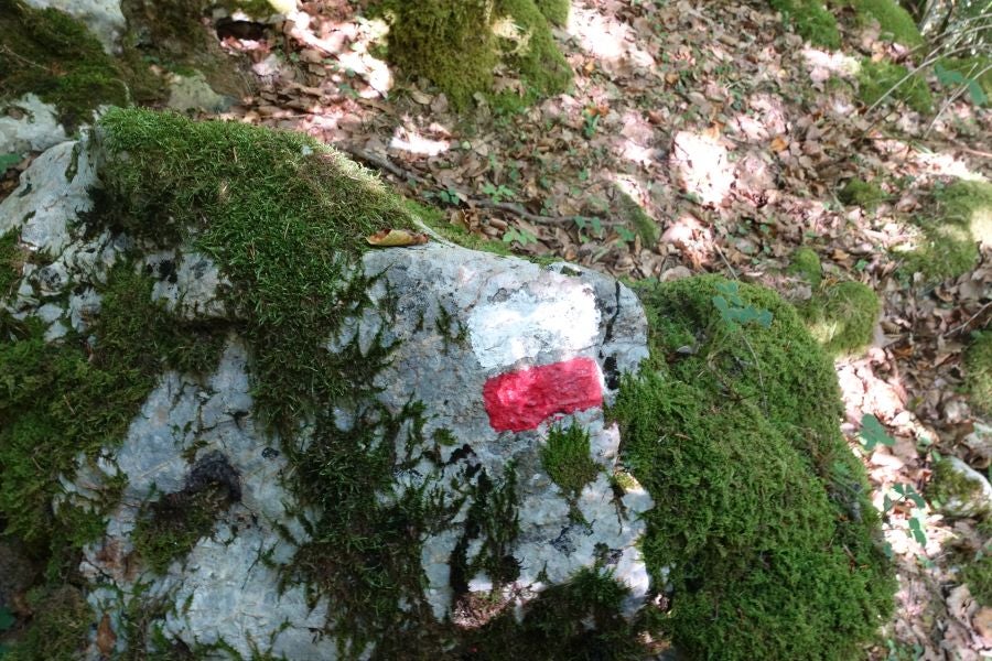 Fotos: Adi: una cima navarra para disfrutar del Otoño