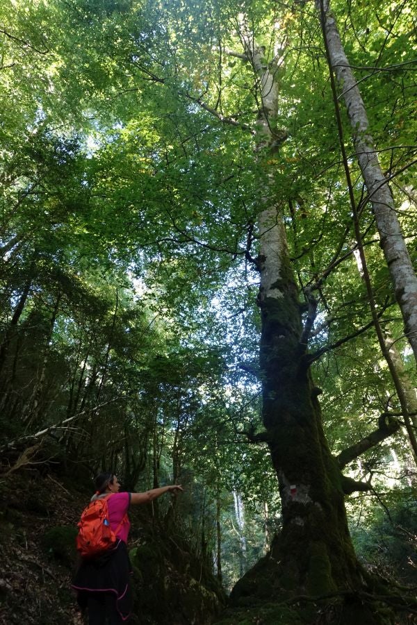 Fotos: Adi: una cima navarra para disfrutar del Otoño