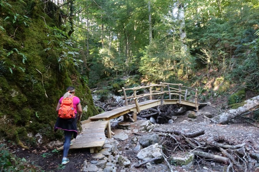 Fotos: Adi: una cima navarra para disfrutar del Otoño