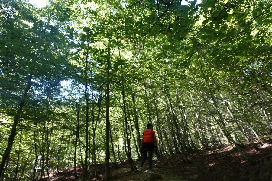 Fotos: Adi: una cima navarra para disfrutar del Otoño